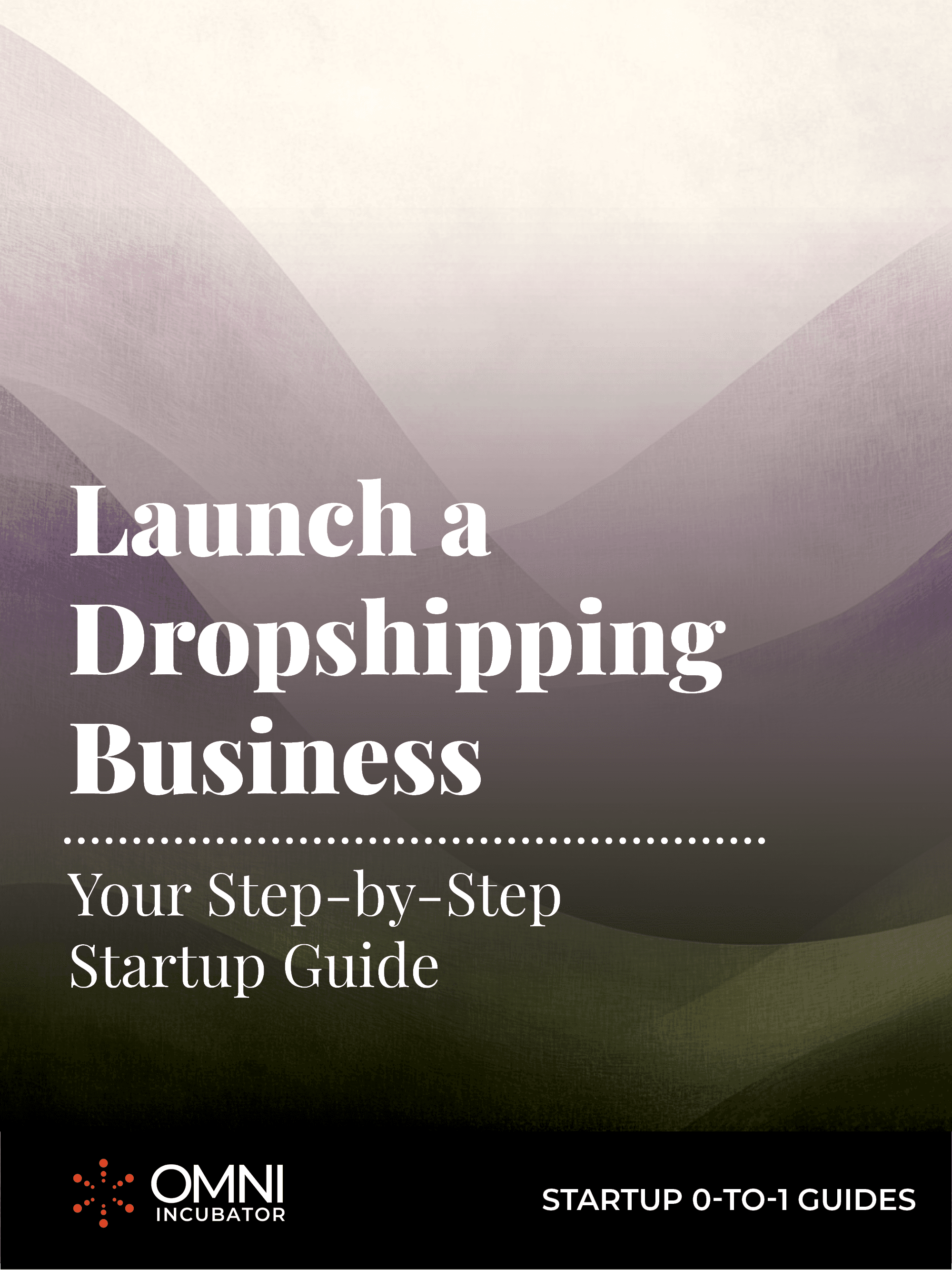 Launch a Dropshipping Business