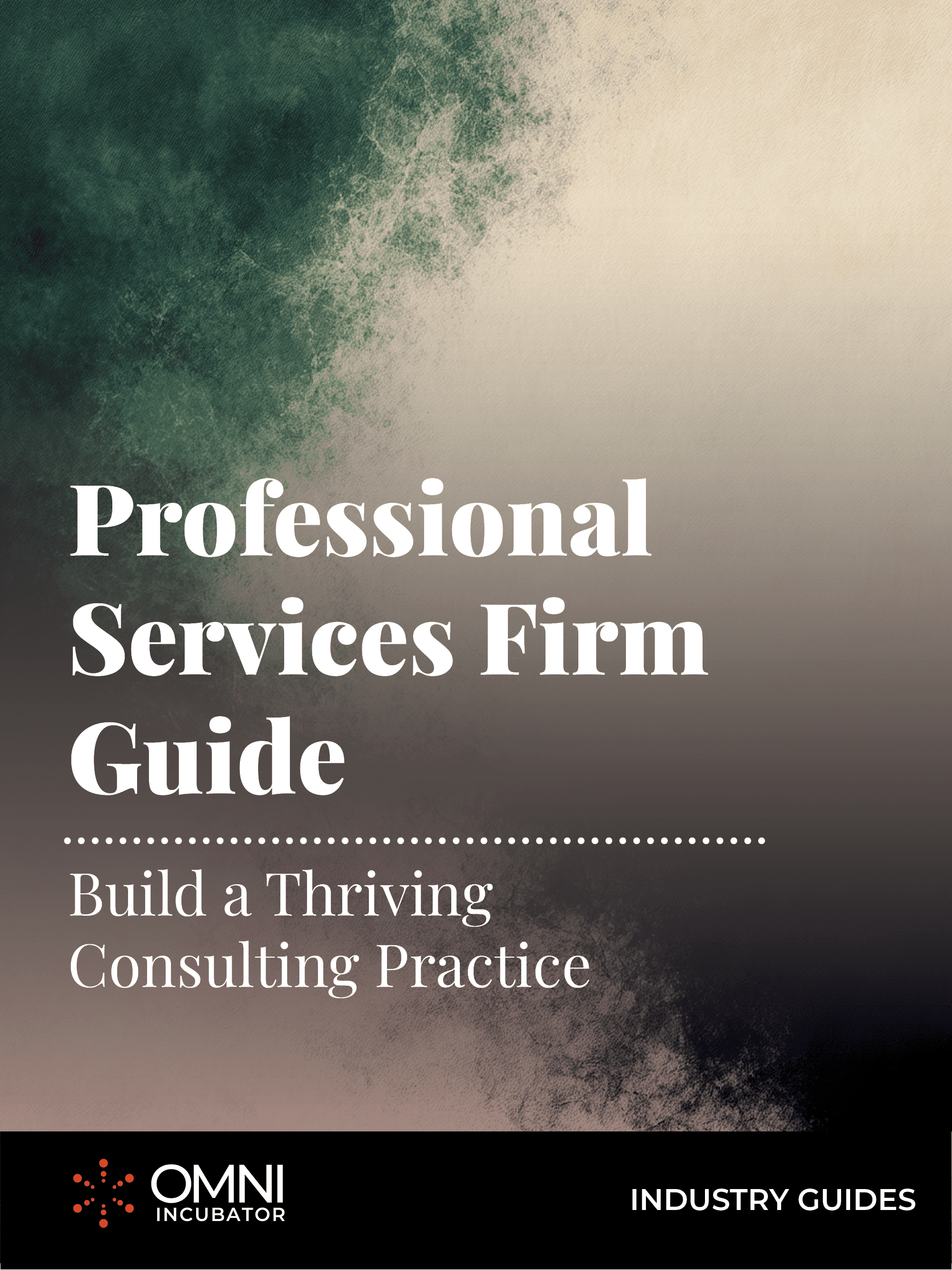 Professional Services Firm Guide